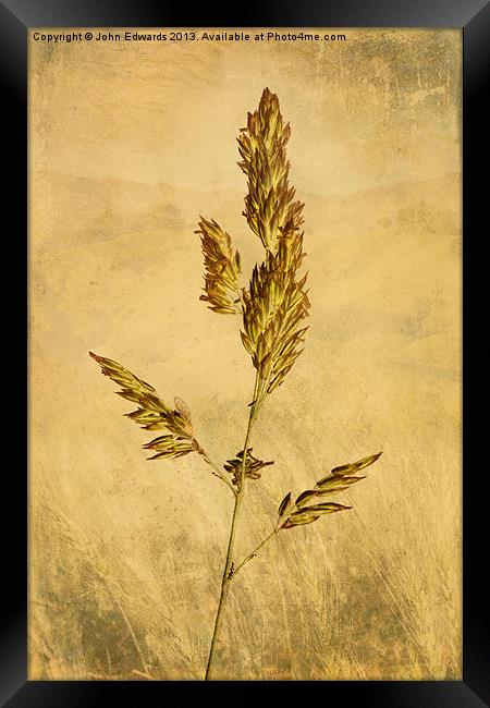 Meadow Grass Framed Print by John Edwards