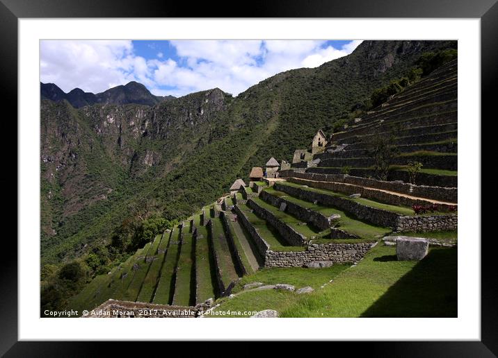 Machu Picchu Terraced Sector  Framed Mounted Print by Aidan Moran
