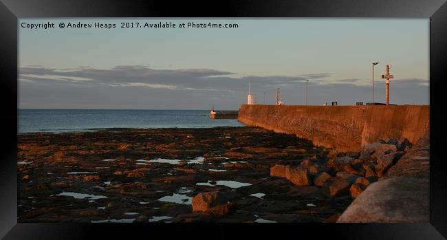 Seahouses harbour sunset song on wall. Framed Print by Andrew Heaps