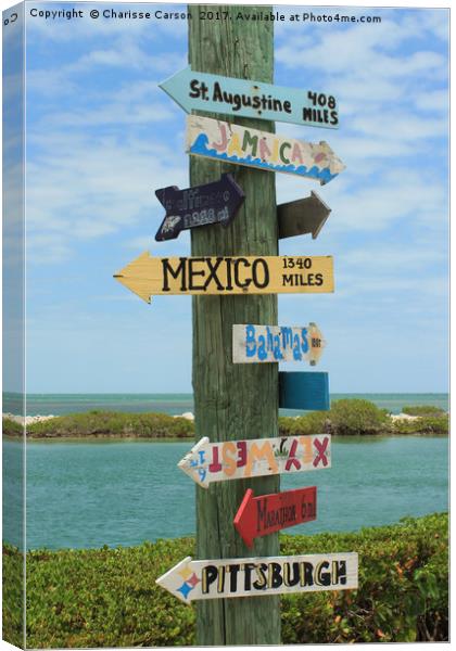 Where to next Canvas Print by Charisse Carson