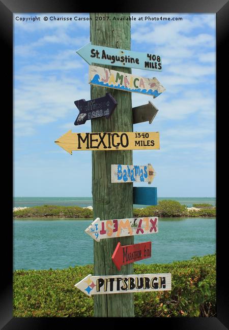 Where to next Framed Print by Charisse Carson