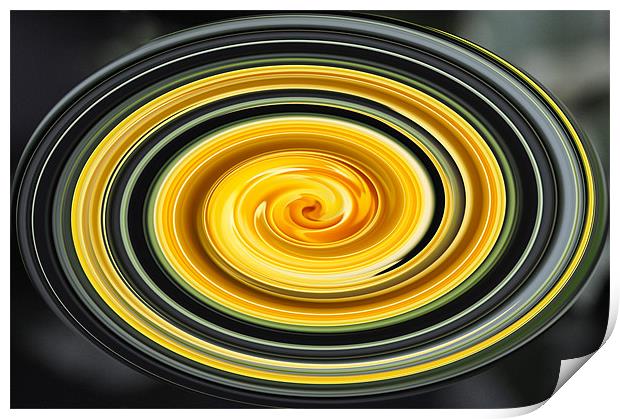 The Radiant Swirl of Yellow Roses Print by Chris Thaxter