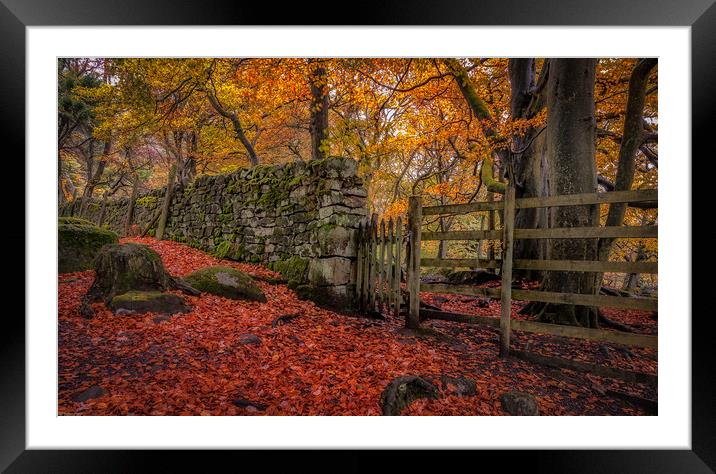 Autumn Gold at Padley Gorge Framed Mounted Print by Paul Andrews