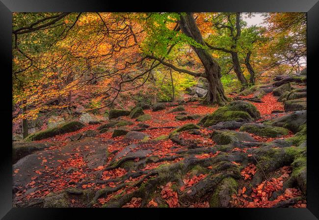 Autumn Colours in Padley Gorge Framed Print by Paul Andrews