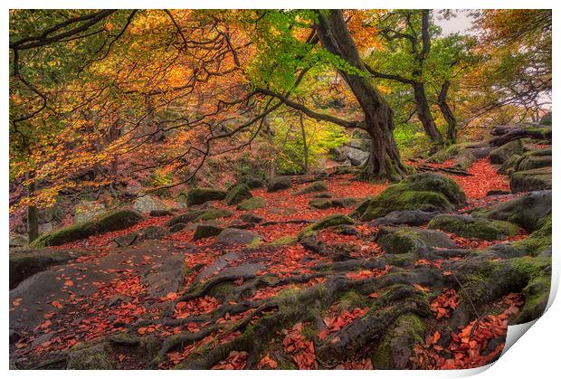 Autumn Colours in Padley Gorge Print by Paul Andrews