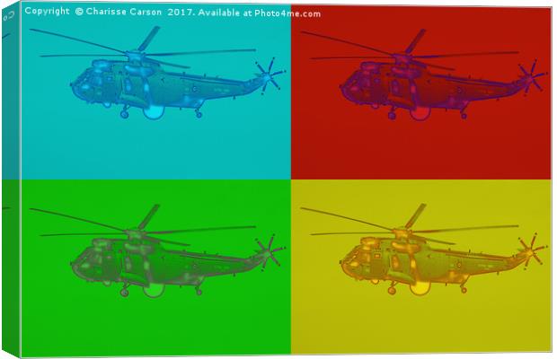 Sea King Canvas Print by Charisse Carson