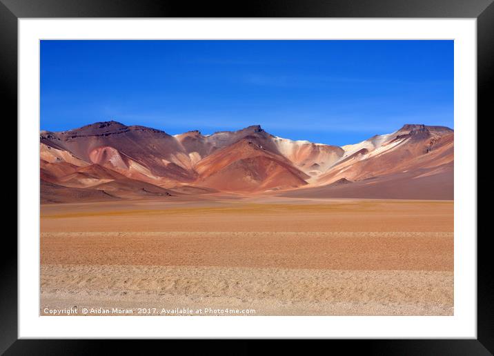 Bolivian Altiplano   Framed Mounted Print by Aidan Moran