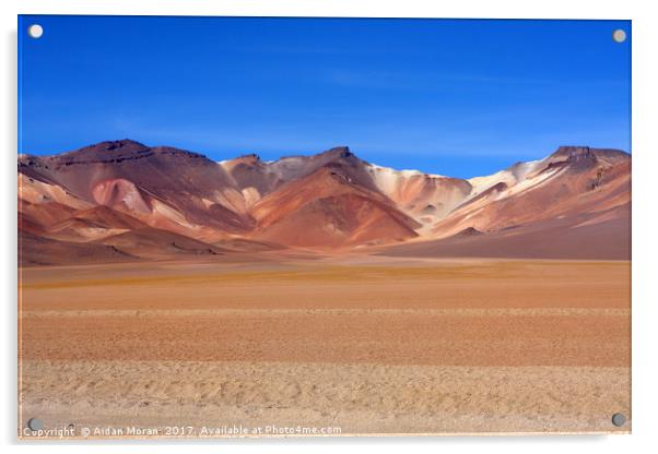 Bolivian Altiplano   Acrylic by Aidan Moran
