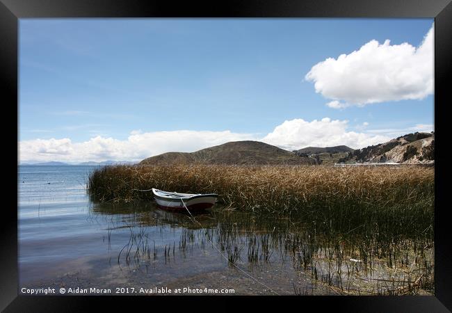 Lake Titicaca, Bolivia  Framed Print by Aidan Moran