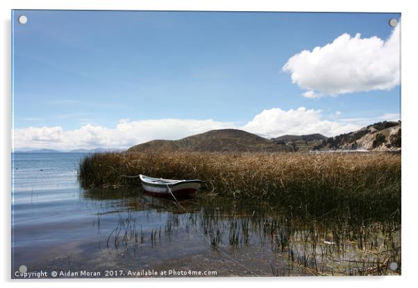 Lake Titicaca, Bolivia  Acrylic by Aidan Moran