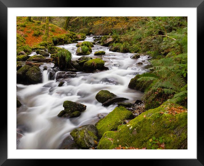 The River at Dolgoch Falls in the Autumn. Framed Mounted Print by Colin Allen