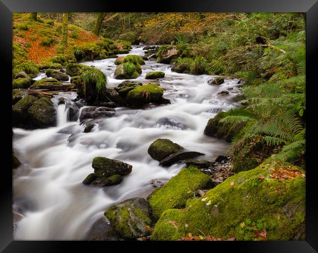 The River at Dolgoch Falls in the Autumn. Framed Print by Colin Allen