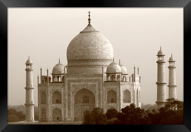 Taj Mahal, Agra, India  Framed Print by Aidan Moran