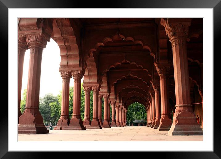 Engrailed Arches, Red Fort, New Delhi Framed Mounted Print by Aidan Moran