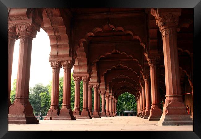 Engrailed Arches, Red Fort, New Delhi Framed Print by Aidan Moran