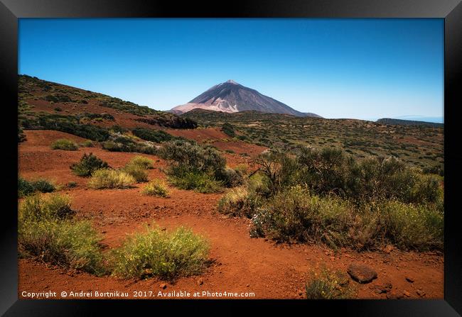 Scenic landscape in Teide National Park, Tenerife, Framed Print by Andrei Bortnikau