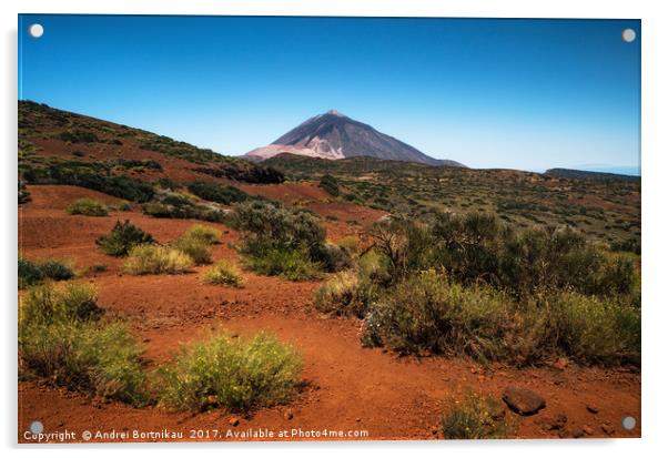 Scenic landscape in Teide National Park, Tenerife, Acrylic by Andrei Bortnikau