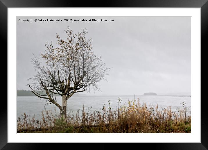 Birch Tree And An Island Framed Mounted Print by Jukka Heinovirta