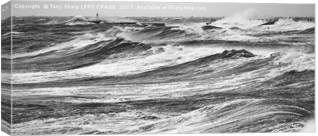 STORM BRIAN -  OCTOBER 2017 (HASTINGS' COAST) MONO Canvas Print by Tony Sharp LRPS CPAGB