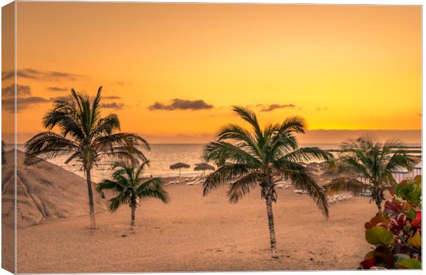 Palm Tree Beach  Canvas Print by Naylor's Photography