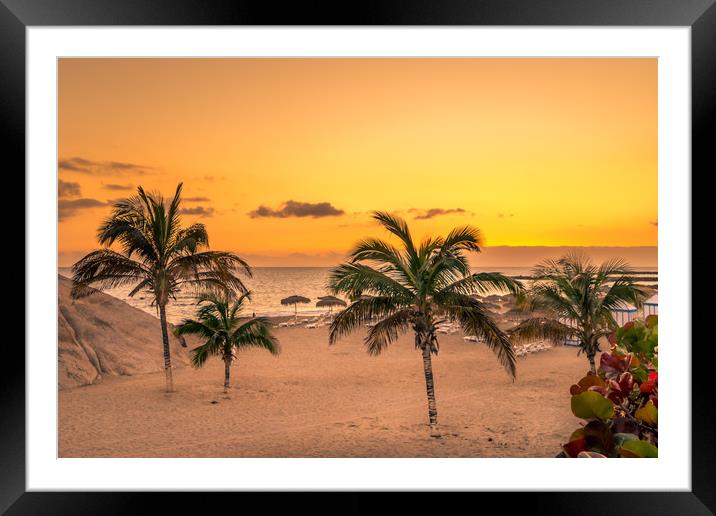 Palm Tree Beach  Framed Mounted Print by Naylor's Photography