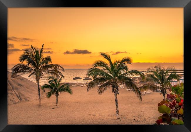 Palm Tree Beach  Framed Print by Naylor's Photography