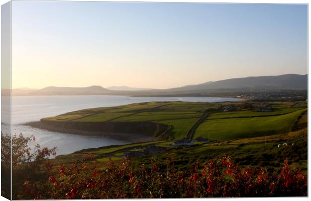 Ring Of Kerry Landscape  Canvas Print by Aidan Moran