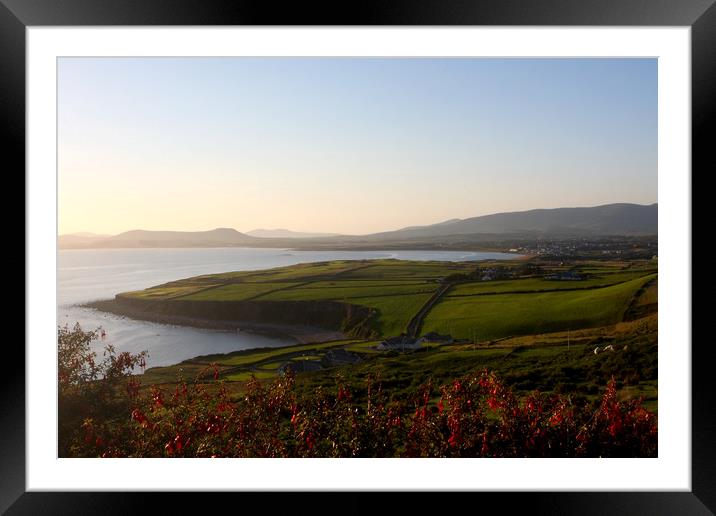 Ring Of Kerry Landscape  Framed Mounted Print by Aidan Moran