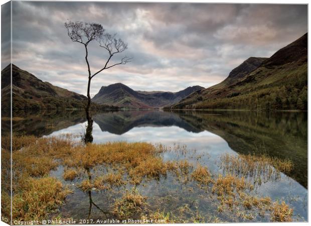 Sunrise Lone Tree Buttermere Canvas Print by Phil Buckle