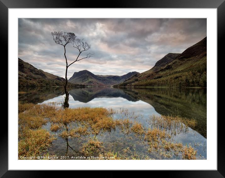 Sunrise Lone Tree Buttermere Framed Mounted Print by Phil Buckle