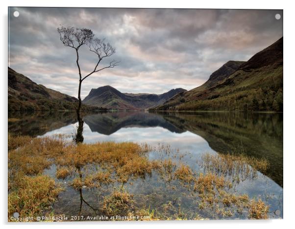 Sunrise Lone Tree Buttermere Acrylic by Phil Buckle