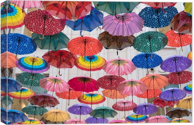 Umbrella Skies Canvas Print by benny hawes