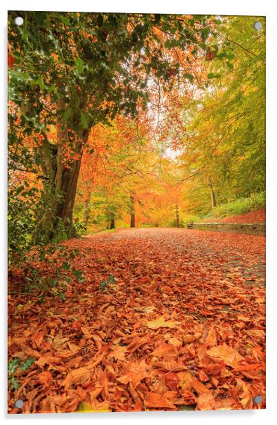Autumn Walk Acrylic by John Hall