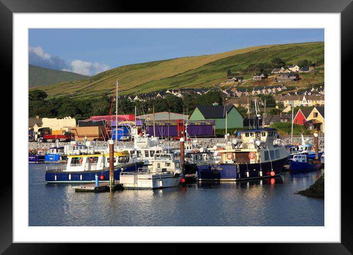 Dingle Harbour County Kerry Ireland  Framed Mounted Print by Aidan Moran