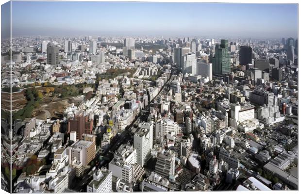 Tokyo seen from Roppongi Hills Canvas Print by Luc Novovitch
