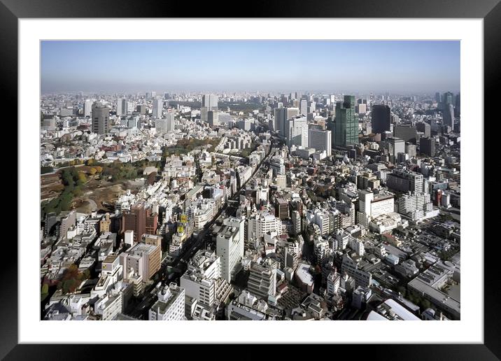 Tokyo seen from Roppongi Hills Framed Mounted Print by Luc Novovitch