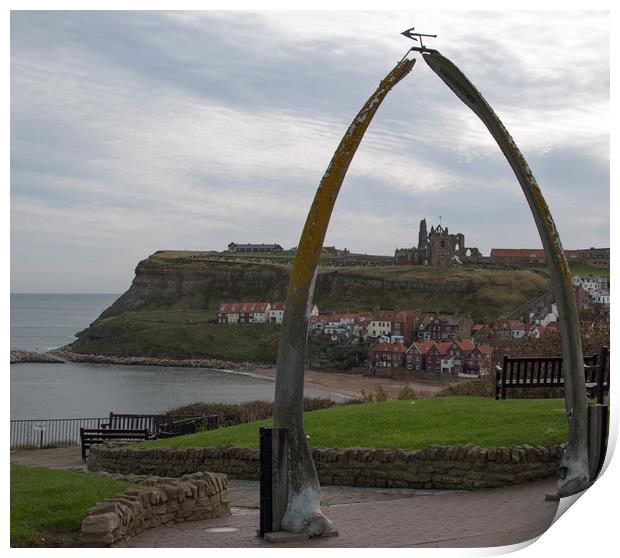 Whitby Abbey Viewed Through Whale Bones Print by Janet Mann