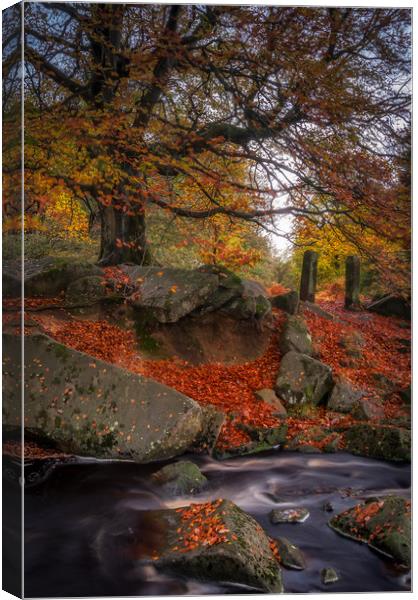 Autumn in Padley Gorge Canvas Print by Paul Andrews
