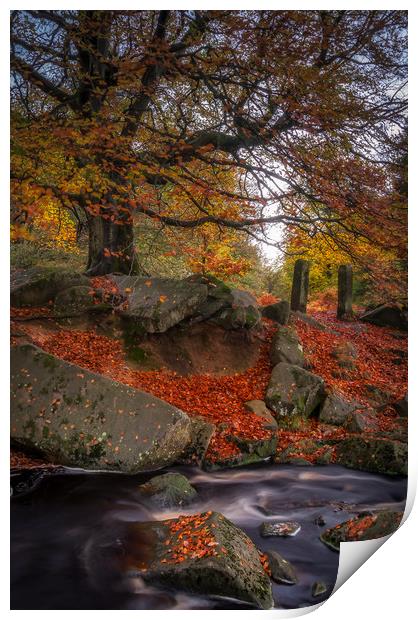 Autumn in Padley Gorge Print by Paul Andrews