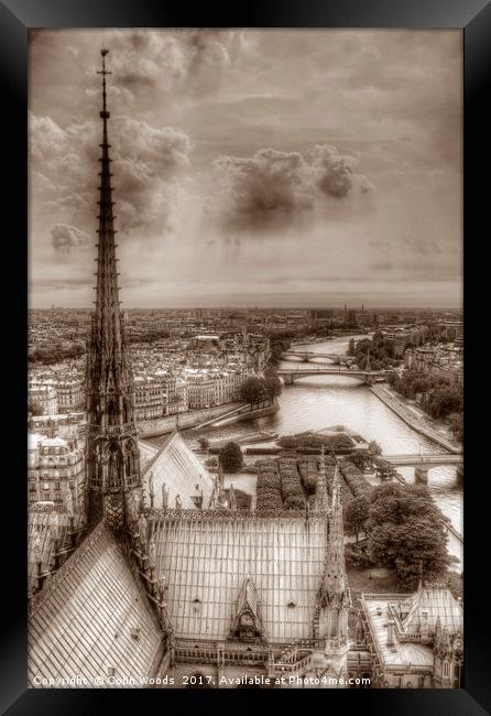 Paris View from Notre Dame Framed Print by Colin Woods