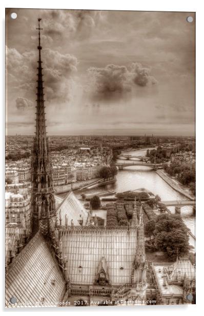 Paris View from Notre Dame Acrylic by Colin Woods