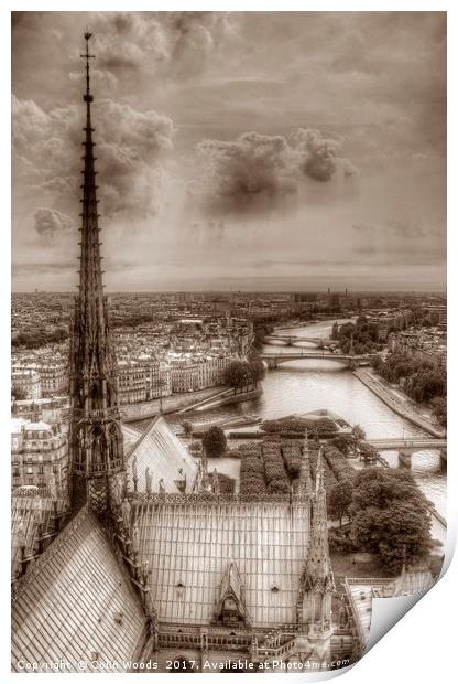 Paris View from Notre Dame Print by Colin Woods