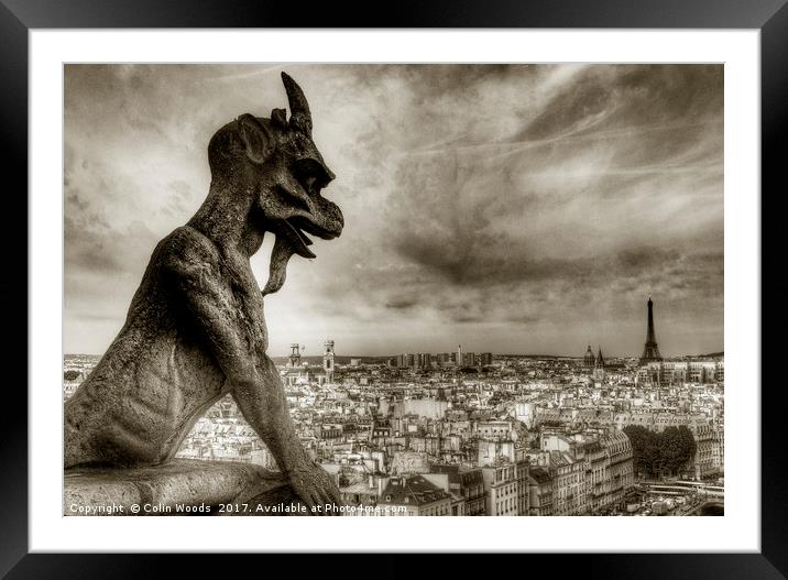 Paris City View from Notre Dame de Paris Framed Mounted Print by Colin Woods