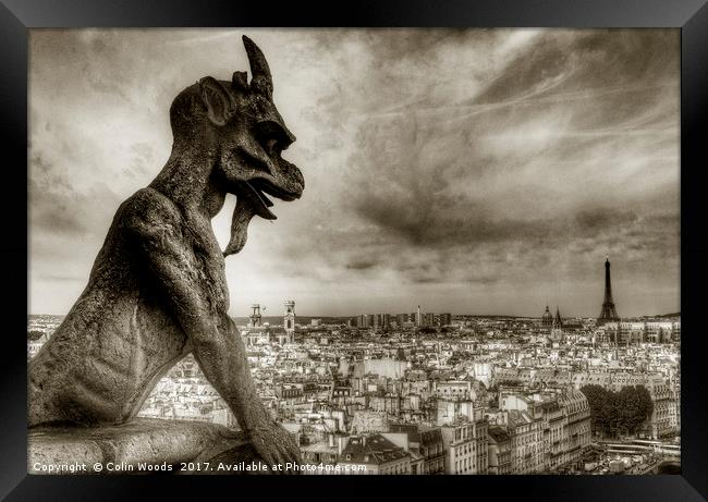 Paris City View from Notre Dame de Paris Framed Print by Colin Woods