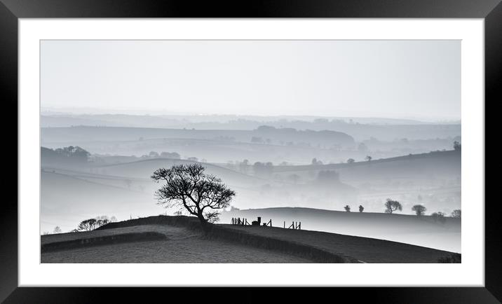 Devon hillscape in black and white Framed Mounted Print by nigel allison