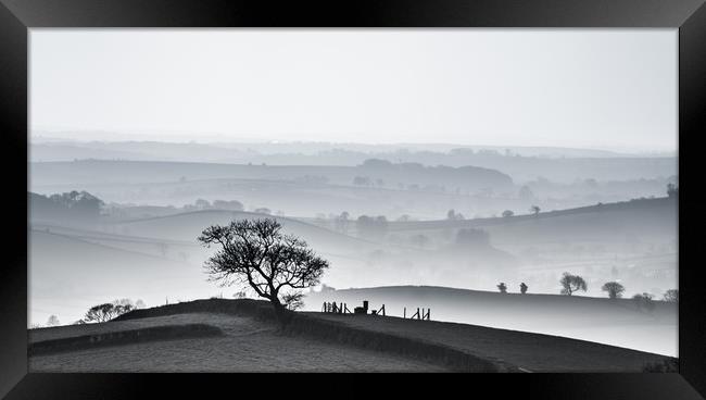Devon hillscape in black and white Framed Print by nigel allison