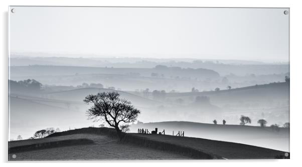 Devon hillscape in black and white Acrylic by nigel allison