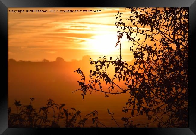 Sunrise looking through a hedge across a field in  Framed Print by Will Badman
