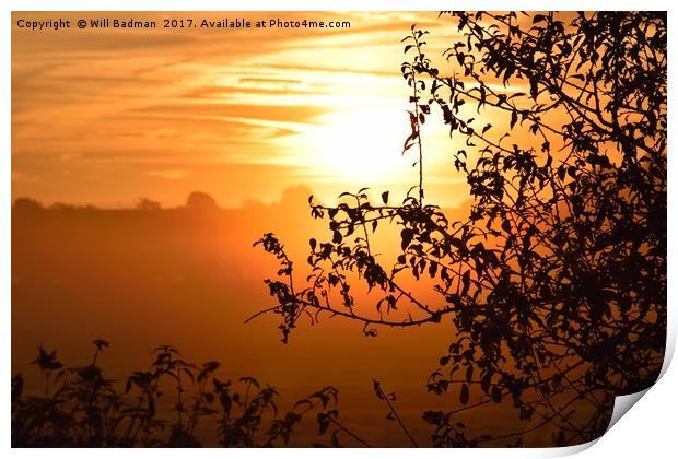 Sunrise looking through a hedge across a field in  Print by Will Badman