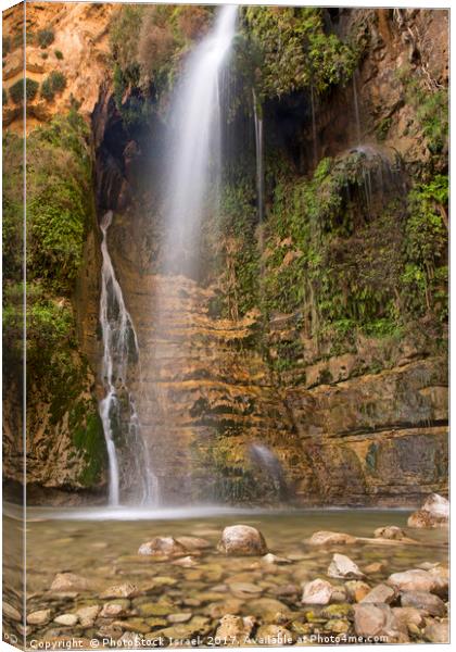 lower waterfall in Wadi David Canvas Print by PhotoStock Israel